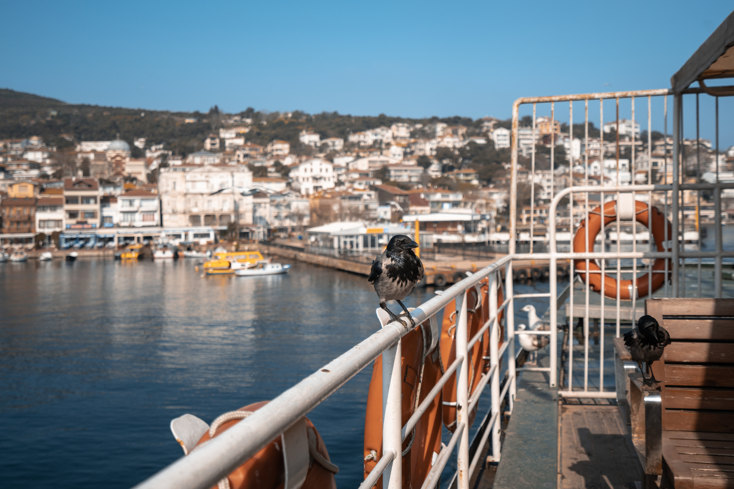 marmara 04.webp